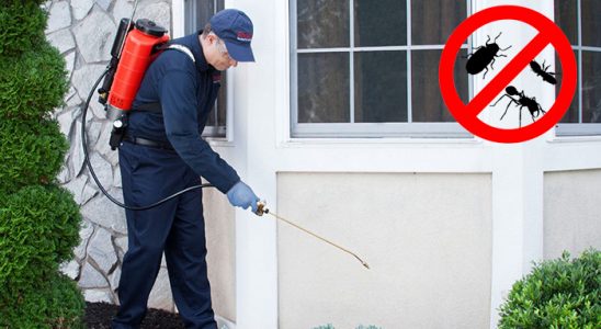 Ermenek Dezenfeksiyon böcek ilaçlama ve haşere kontrolü — ilaclama-tr.com